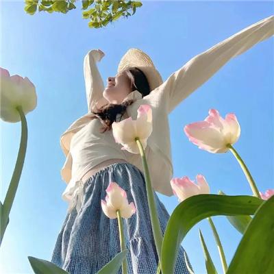 阳光姐妹淘第二季