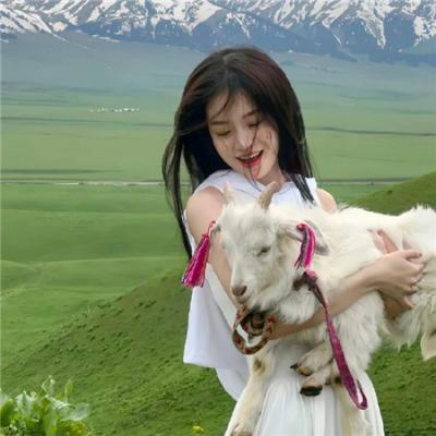 苍穹浩瀚第二季